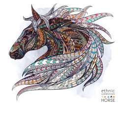 illustrated-horse