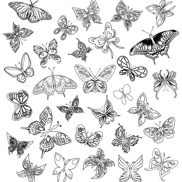 دانلود وکتور پروانه سیاه و سفید