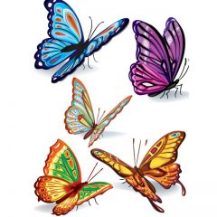 butterfly_pattern17