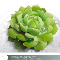 green_flower16