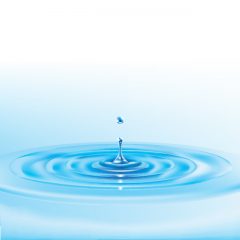dropped_water_vector