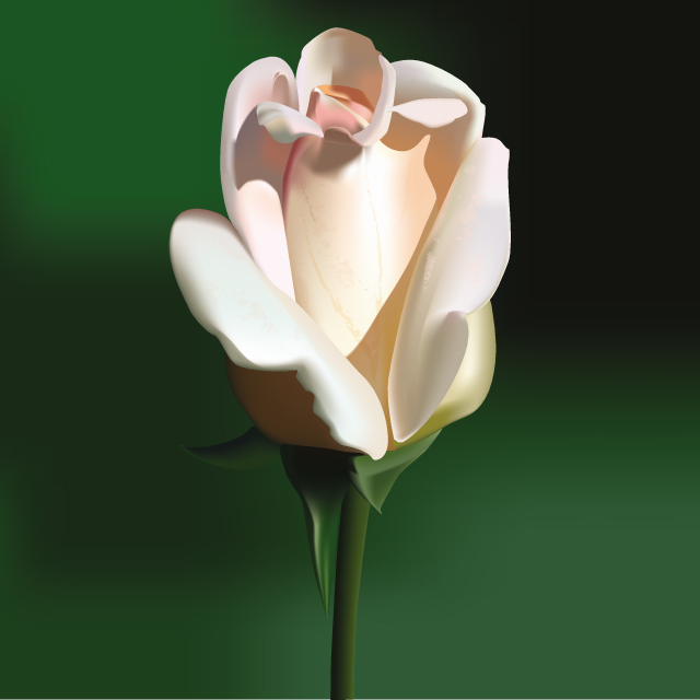 دانلود وکتور گل لاله سفید