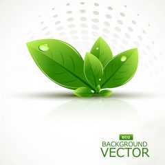 natural_green_vector_leaf