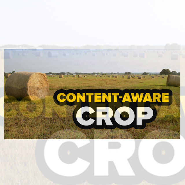 دانلود آموزش فتوشاپ استفاده از crop انتخاب تصویر