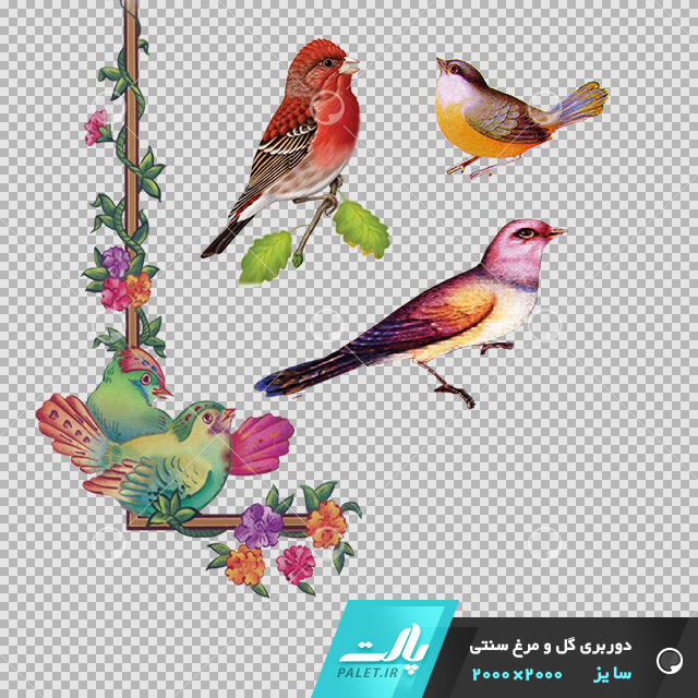 دانلود فایل دوربری شده گل و مرغ سنتی همراه با پرنده در ابعاد 2000 در 2000