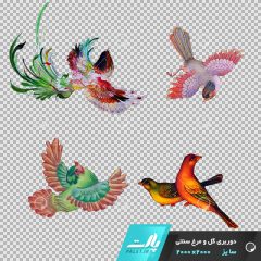 دانلود فایل دوربری شده گل و مرغ سنتی با پرنده در شکل های متفاوت در ابعاد 2000 در 2000