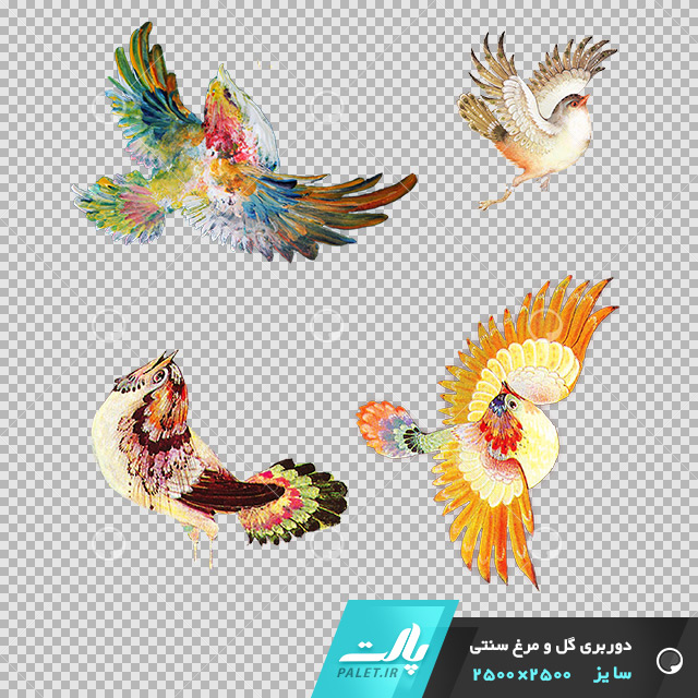 دانلود فایل دوربری شده گل و مرغ سنتی پرنده با رنگ های شاد در ابعاد 2500 در 2500