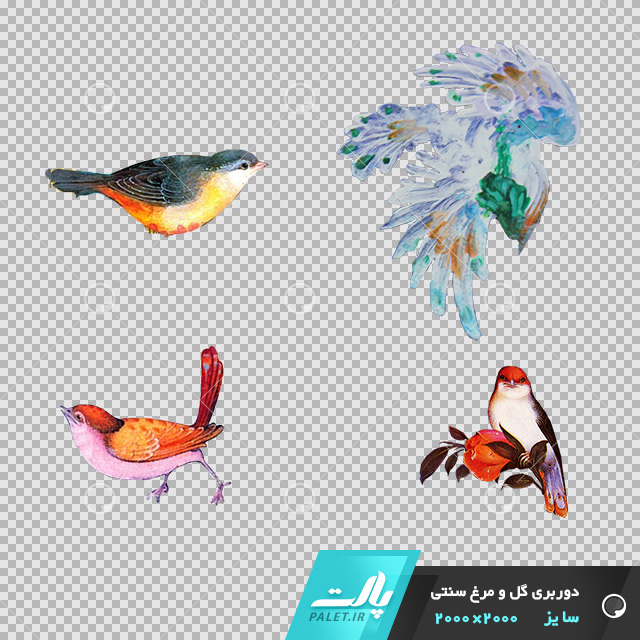 دانلود فایل دوربری شده گل و مرغ سنتی با 4 پرنده در تم رنگی مختلف در ابعاد2000 در 2000