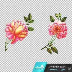 دانلود فایل دوربری شده گل و مرغ سنتی با دو گل در تم رنگی صورتی در ابعاد 600 در 700