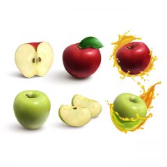 دانلود وکتور خاص طراحی گرافیکی سیب و تکه های سیب در دو رنگ سبز و قرمز