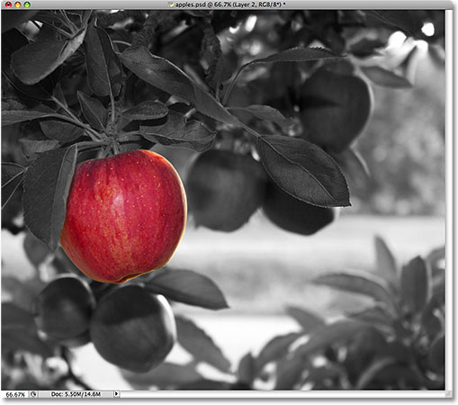 apple-color