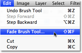 انتخاب Fade Brush Tool