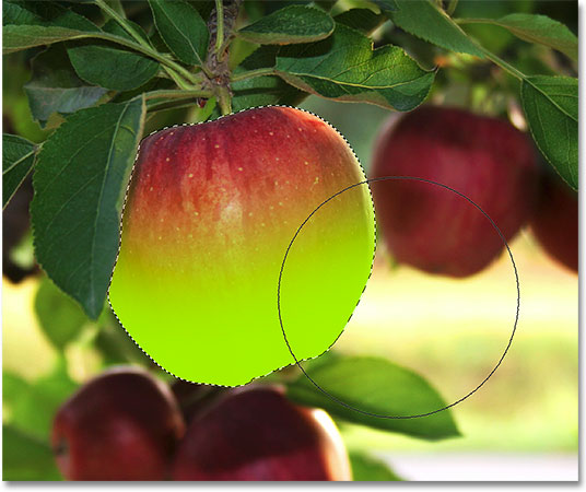 painting-bottom-apple
