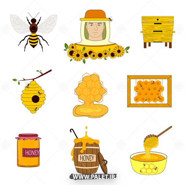 وکتور زنبور داری و عسل طبیعی