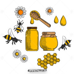 دانلود وکتور گل و زنبور عسل