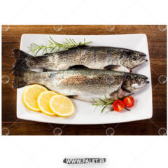 تصاویر استوک ماهی های رستورانی