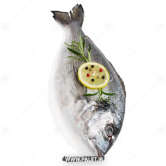 عکس استوک ماهی خوشمزه