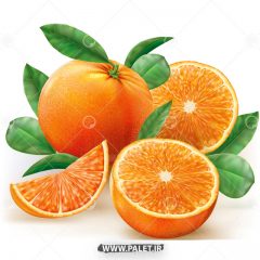 دانلود وکتور کارتونی پرتقال نارنجی