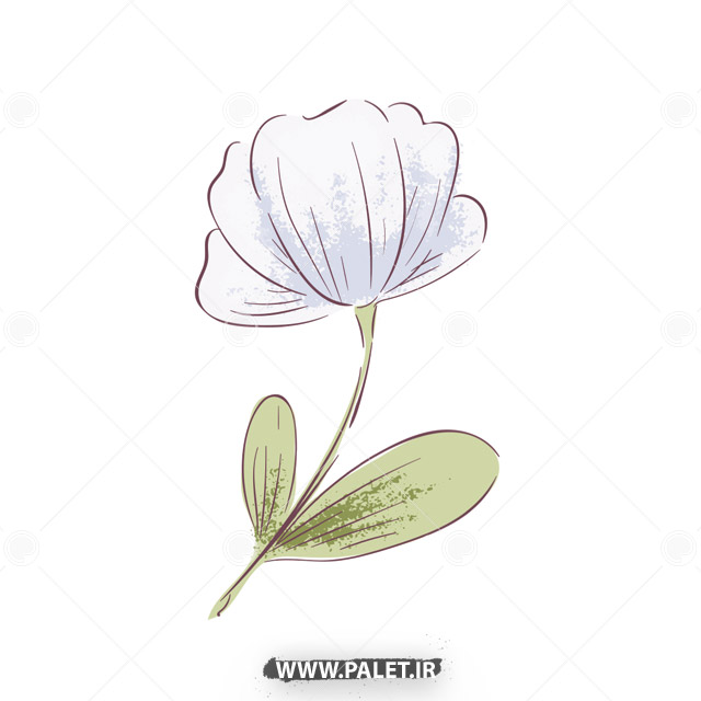 دانلود وکتور شاخه گل سفید لایه باز