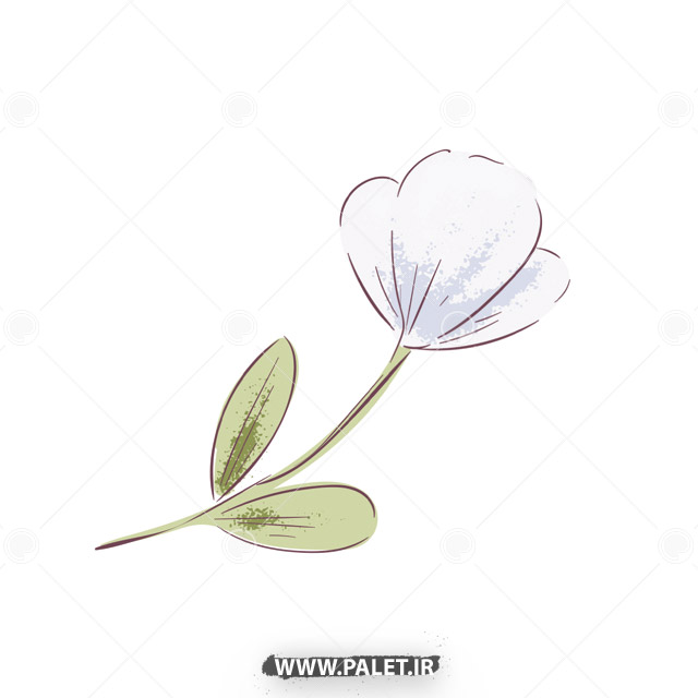 دانلود وکتور گل سفید کارتونی لایه باز