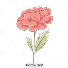 دانلود وکتور نقاشی گل قرمز فانتزی