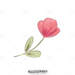 دانلود وکتور گل نقاشی شده قرمز