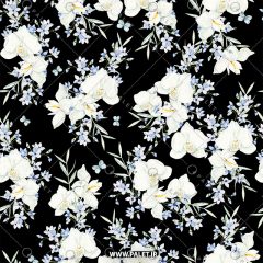 طرح باکیفیت استاک گل‌های سفید با زمینه مشکی