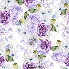 تصویر استوک باکیفیت گل‌های آلاله رنگی