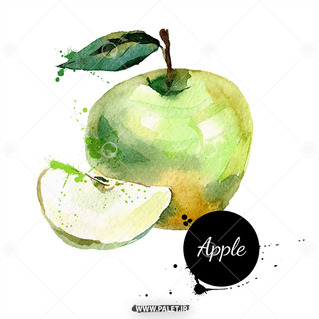 دانلود تصویر نقاشی لایه باز میوه سیب سبز