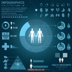 اینفوگرافیک نمودار پزشکی اندام‌های انسان