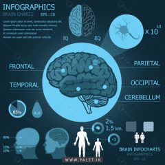دانلود اینفوگرافیک مغز و پزشکی