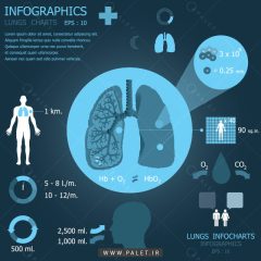 اینفوگرافیک رایگان سیستم ریه