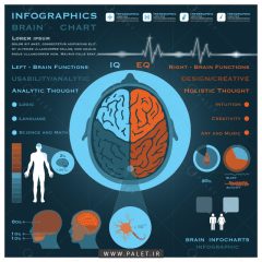 اینفوگرافیک سیستم عصبی مغز