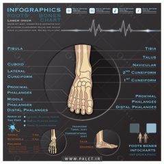 اینفوگرافیک سلامت پا