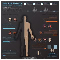اینفوگرافیک سیستم آناتومی بدن