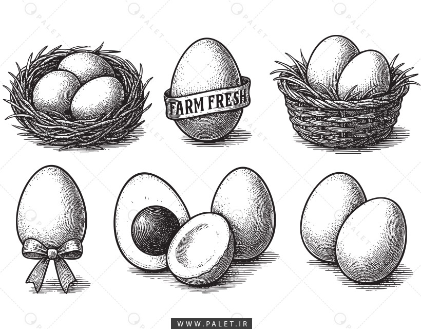 طرح لایه باز سبد تخم مرغ بصورت وکتور با کیفیت