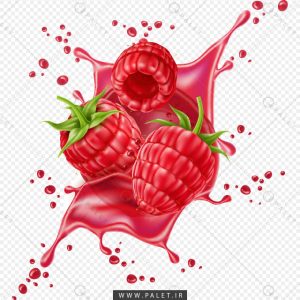 وکتور اسپلش تمشک قرمز