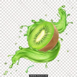 وکتور اسپلش آبمیوه کیوی