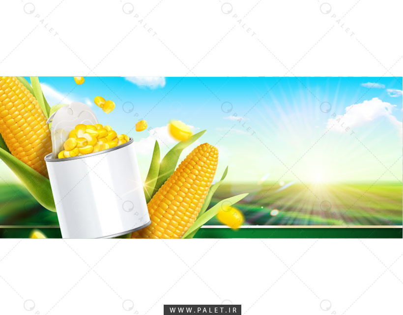 وکتور بنر تبلیغاتی کنسرو ذرت
