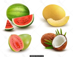 مجموعه چهارتایی میوه‌های استوایی